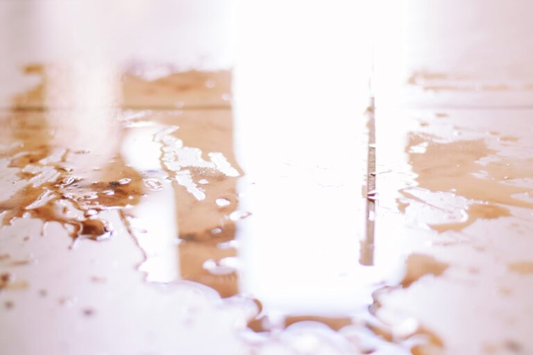 Signs You May Have a Hidden Plumbing Leak